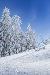 Winterlandschaft Region Hochkönig