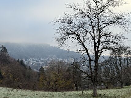 Fotografia z InesW na trase