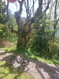 Foto von sonja krumrey entlang der Tour