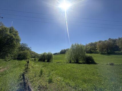 Fotografija s spletne strani Anja Richter na poti