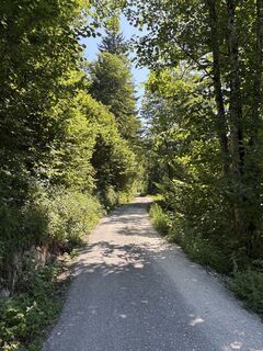 Fotografia z Heinz Sperl na trase