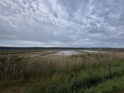 Fotografie z Friederike Steyrer na trase