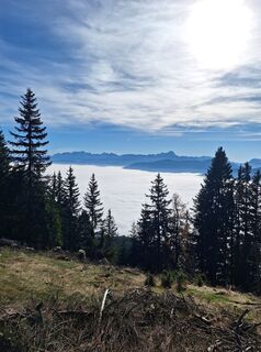 Fotografija s spletne strani Dagmar Hofer na poti