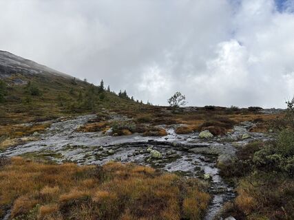 Foto fra Jako Koel undervejs på turen