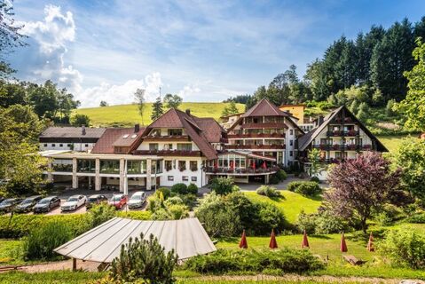 Naturparkhotel "Adler" St. Roman