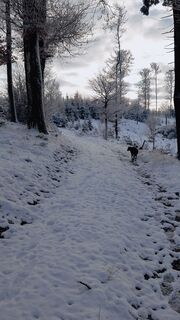 Fotografia z Pur Alexander na trase