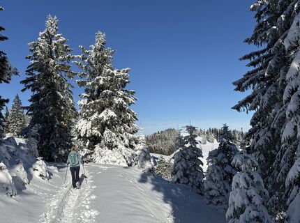 Foto von Natur_erleben_dg entlang der Tour