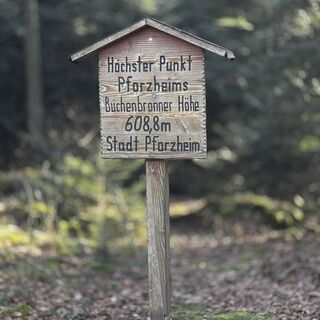 Foto von Sandra Kögel entlang der Tour