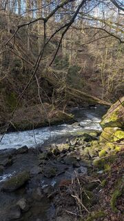 Foto von hochlandfamilie entlang der Tour