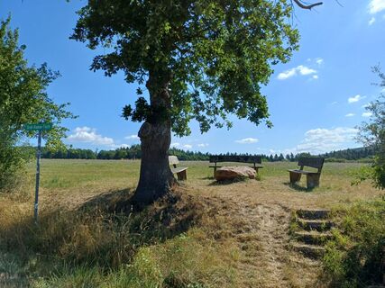 Graf-Hanse-Weg_sonnige Rastmöglichkeit.jpg