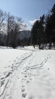 Foto von Axel Polleres entlang der Tour