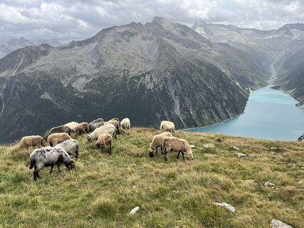 Foto de Florian Stolz a lo largo del recorrido