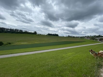 Photo from Vero along the tour