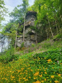 Photo de Martin Schaumberger le long du parcours