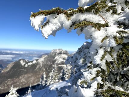 Zdjęcie z Natur_erleben_dg wzdłuż trasy