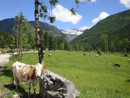 Rettenbachalm im Sommer
