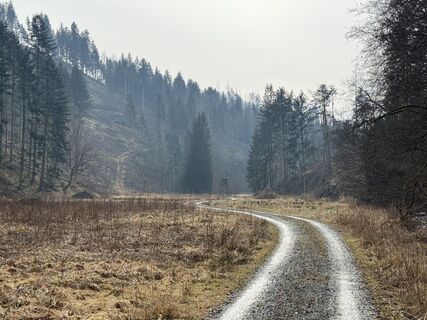 Photo de Norbert Herbig le long du parcours