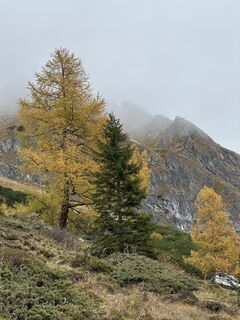 Photo de Ralf Theune le long du parcours