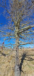 Fotografie z Johann Speik na trase