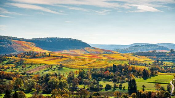 Woher kommen unsere Berge und Täler | Naturführung | Naturpark Stromberg-Heuchelberg