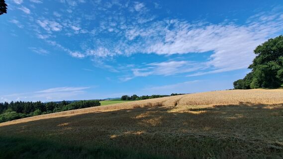 Fotografija s spletne strani Anita Lunzer 1 na poti