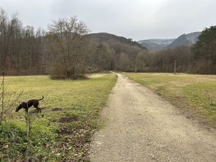 Baden,Lindkogel RDW