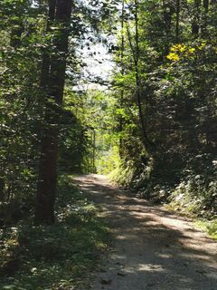 Foto von komich entlang der Tour
