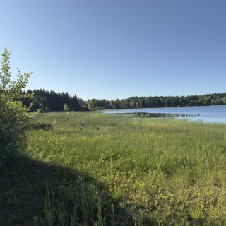 Fotografija s spletne strani Steffen Kiesel na poti