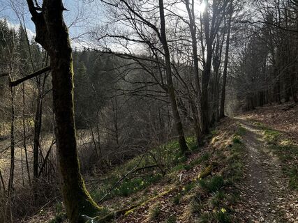 Foto von Diemahals entlang der Tour