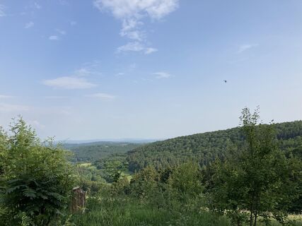 Ausblick am Wanderweg U1