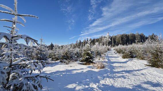 Photo de prager64 le long du parcours