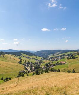 Blick auf Todtnauberg