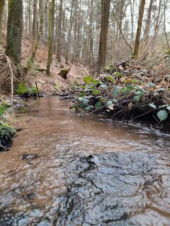 Photo de Alexander Blumrich le long du parcours