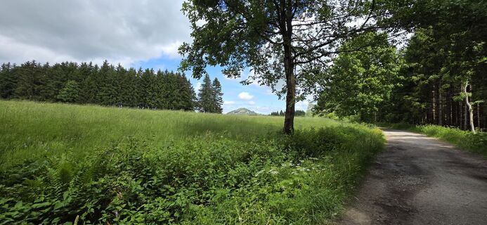 Foto von Silke Vonderlehr entlang der Tour