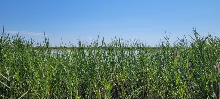 Foto de Nicky a lo largo del recorrido