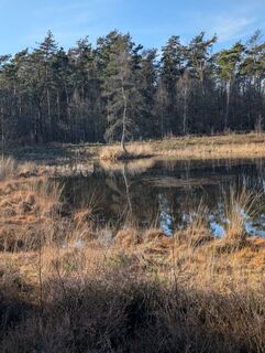 Photo de Matje Derks le long du parcours