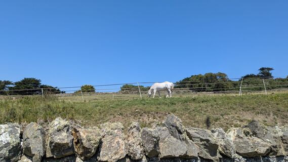 Foto de cJillian a lo largo del recorrido