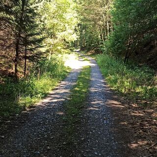 Weg beim Schlingengrund