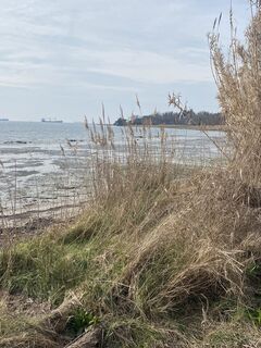 Фото с сайта Gianberto Zilli во время экскурсии