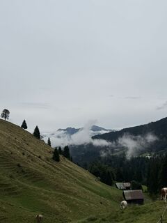 Photo de Nils Bittmann. le long du parcours