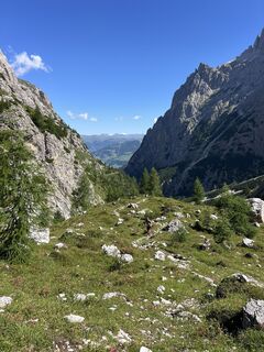 Foto von Heikoala entlang der Tour