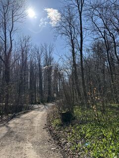 Foto de RS76 a lo largo del recorrido