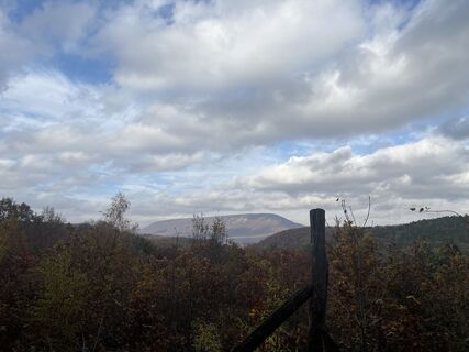 Foto de Vicaliza a lo largo del recorrido