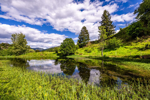 Der idyllische Letzbergweiher in Schönau im Schwarzwald
