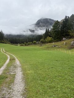 Fotografia z Peter De Smedt2 na trase