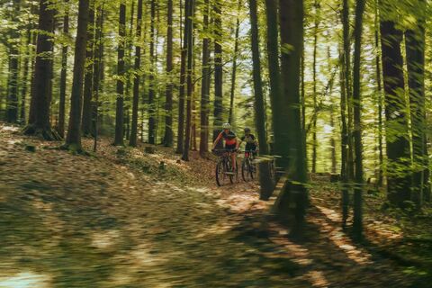 Mountainbiker im Böhmerwald