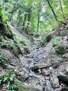 Fotografie z Jürgen Clement na trase