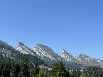 Fotografija s spletne strani Peter Würmli na poti