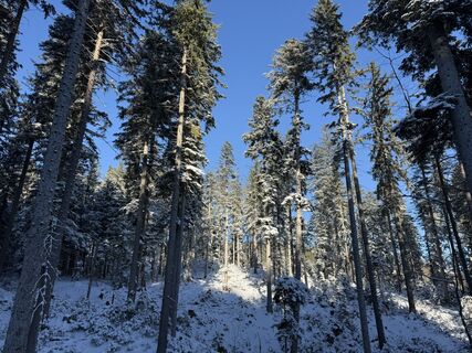 Foto de Norbert Herbig a lo largo del recorrido