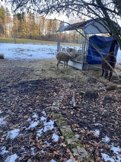 Foto von Sven Krieblin entlang der Tour
